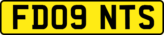 FD09NTS