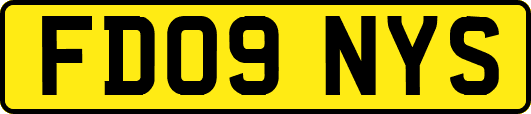 FD09NYS