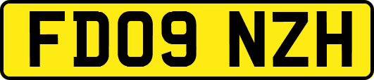 FD09NZH