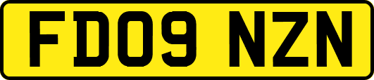 FD09NZN