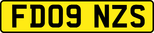 FD09NZS