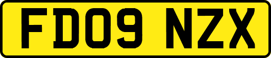 FD09NZX
