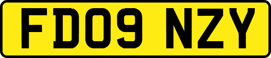 FD09NZY