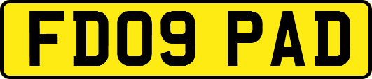 FD09PAD
