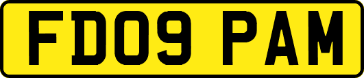 FD09PAM