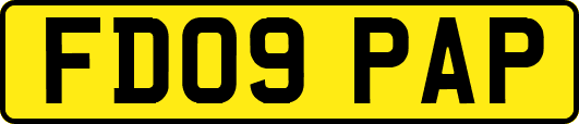 FD09PAP