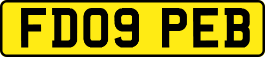 FD09PEB