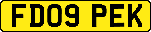 FD09PEK