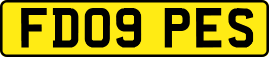 FD09PES