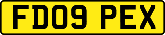 FD09PEX