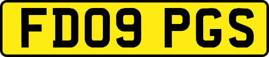 FD09PGS
