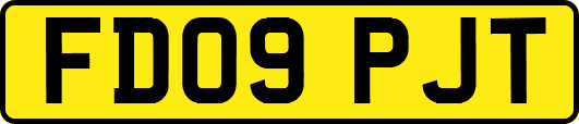 FD09PJT