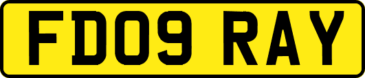 FD09RAY