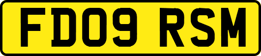 FD09RSM