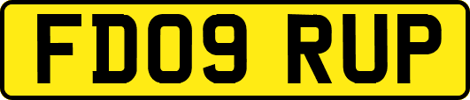 FD09RUP