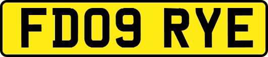 FD09RYE