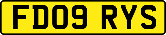 FD09RYS