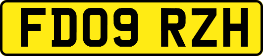 FD09RZH
