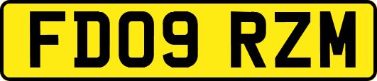 FD09RZM