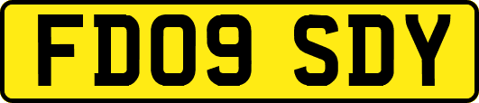 FD09SDY