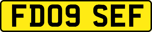 FD09SEF
