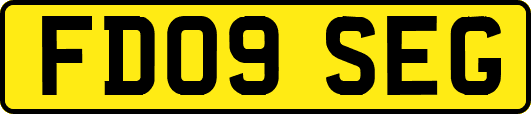 FD09SEG