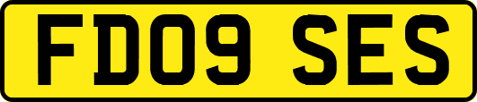 FD09SES