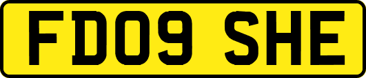 FD09SHE
