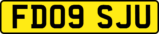 FD09SJU