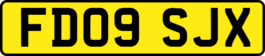 FD09SJX