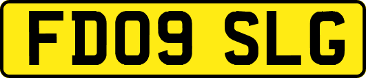 FD09SLG