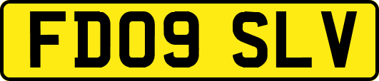 FD09SLV