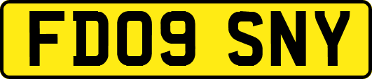 FD09SNY
