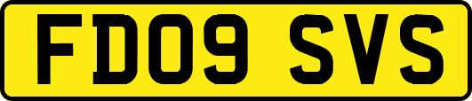 FD09SVS