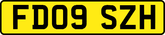 FD09SZH