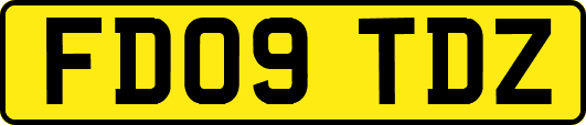 FD09TDZ