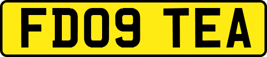 FD09TEA