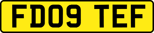 FD09TEF