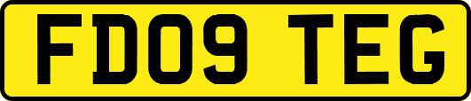 FD09TEG