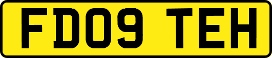 FD09TEH