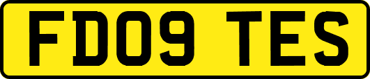 FD09TES
