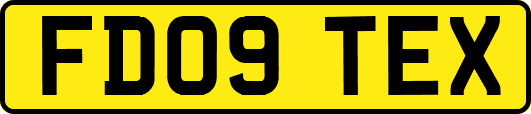 FD09TEX