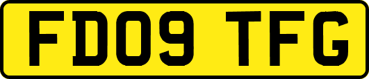 FD09TFG