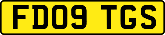 FD09TGS