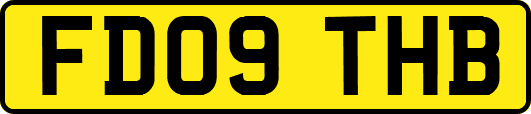 FD09THB