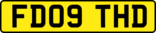 FD09THD