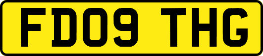 FD09THG