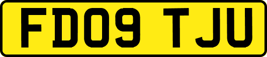FD09TJU
