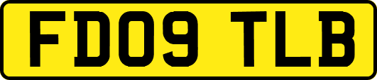 FD09TLB