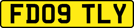FD09TLY